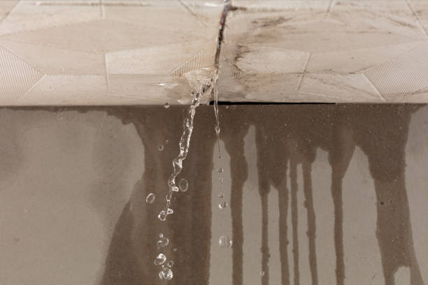 Professional Water Damage Repair technician working in Adger, AL